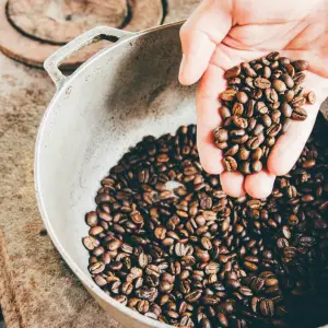 Grains dans la main