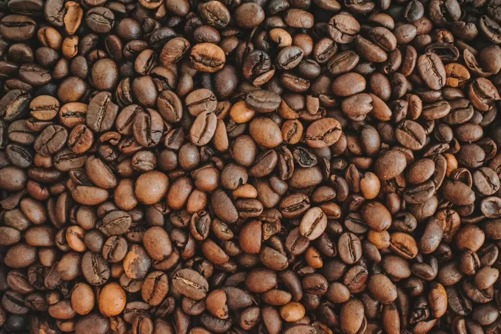 Cafés en grains