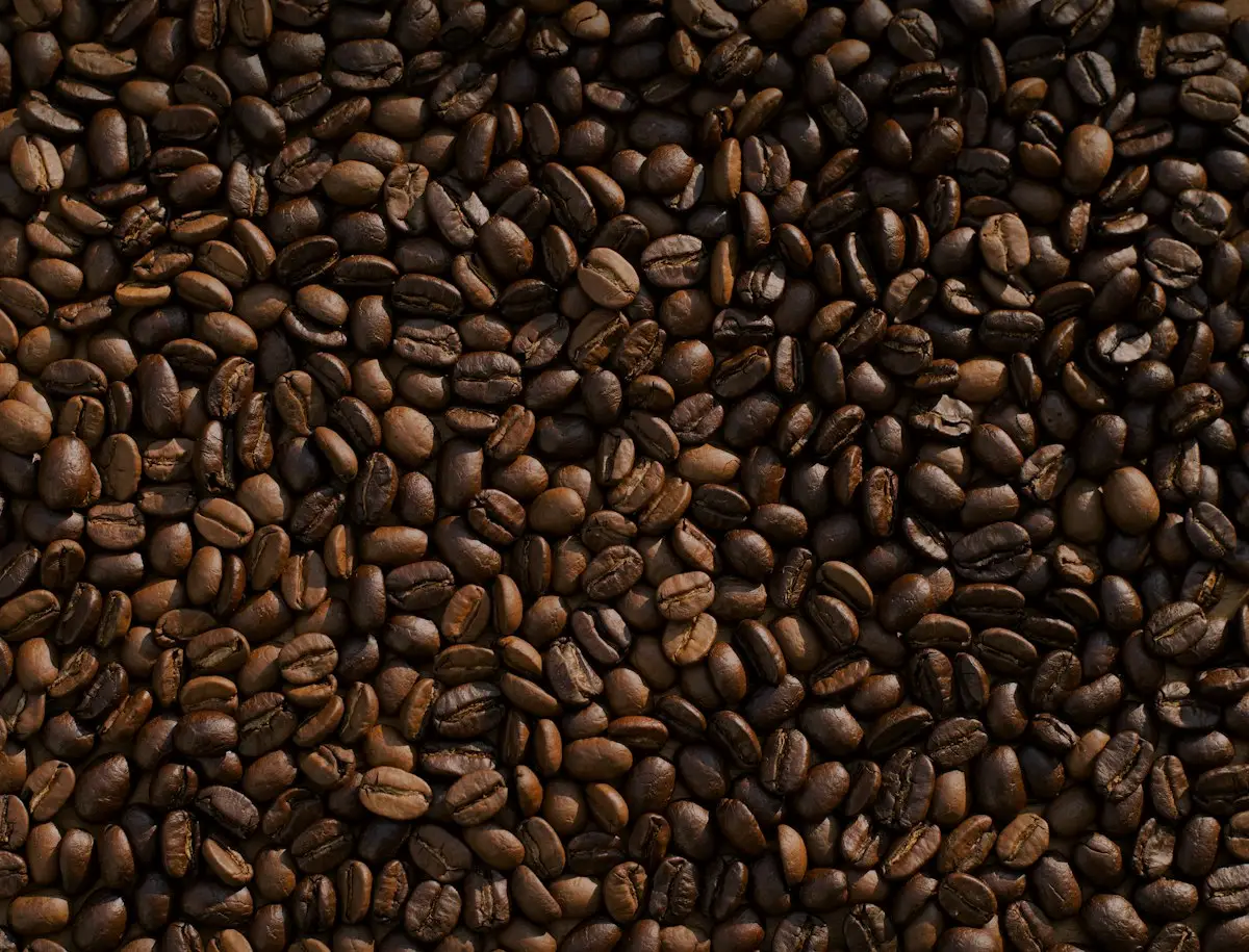 Grains torréfiés