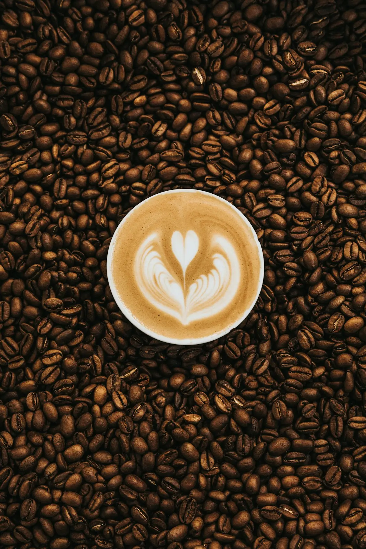 Latte sur lit de grains