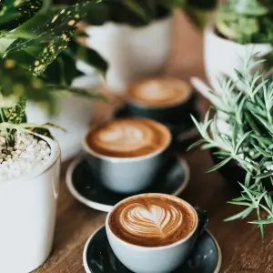 Lattes et plantes