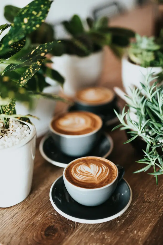 Lattes et plantes